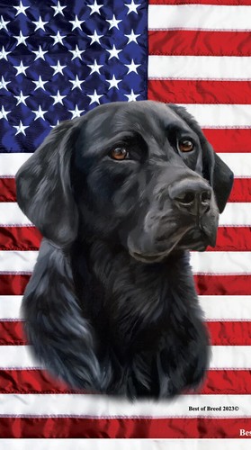 Labrador retreiver patriotic - labrador,